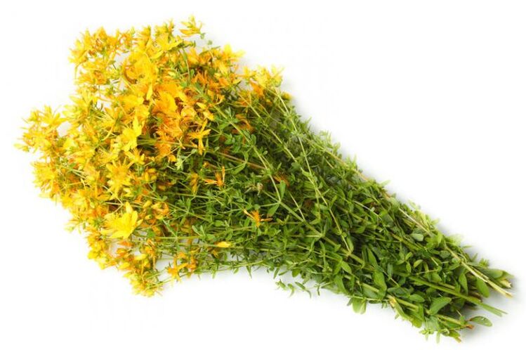 St. John's spice is used in the treatment of osteoarthritis